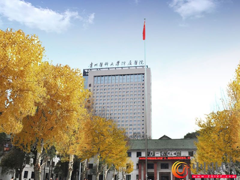 贵州医科大学附属医院(图2) 贵州医科大学附属医院(图2)