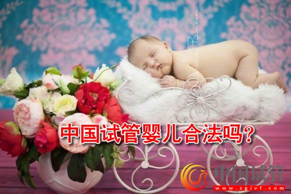中国试管婴儿合法吗?(图1) 中国试管婴儿合法吗?(图1)