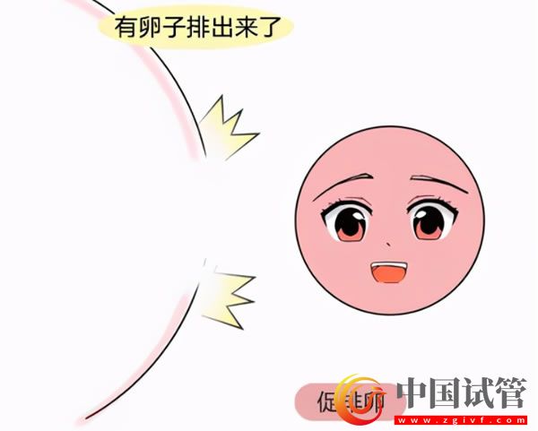 安庆试管婴儿医院哪里做的好