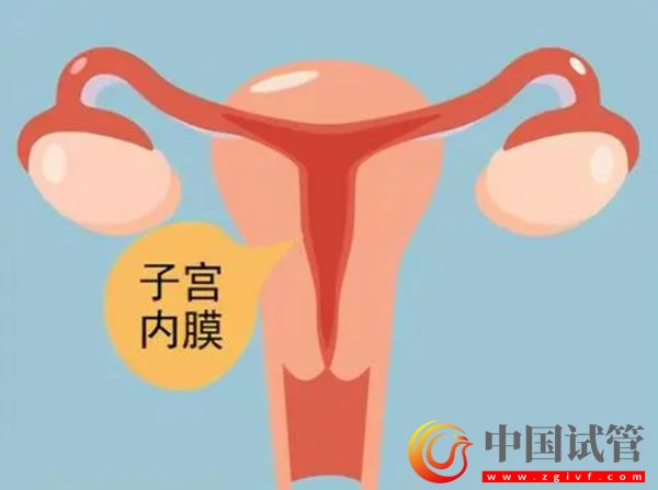 山南有没有做第三代试管婴儿的医院?(图1) 山南有没有做第三代试管婴儿的医院?(图1)