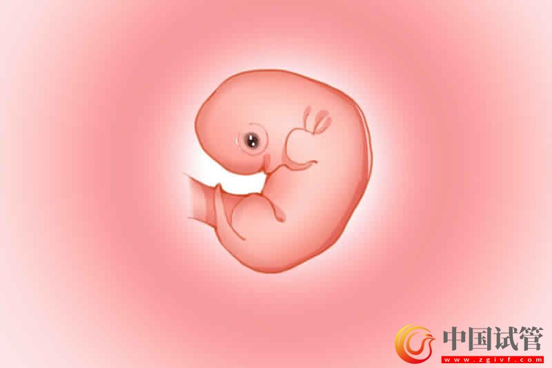 供精试管婴儿价格解读,想省钱越早做越好(图3) 供精试管婴儿价格解读,想省钱越早做越好(图2)