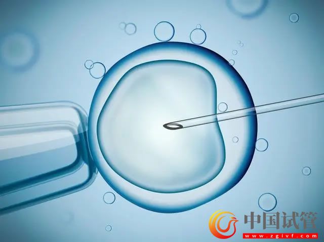 供精试管婴儿价格解读,想省钱越早做越好(图2) 供精试管婴儿价格解读,想省钱越早做越好(图1)