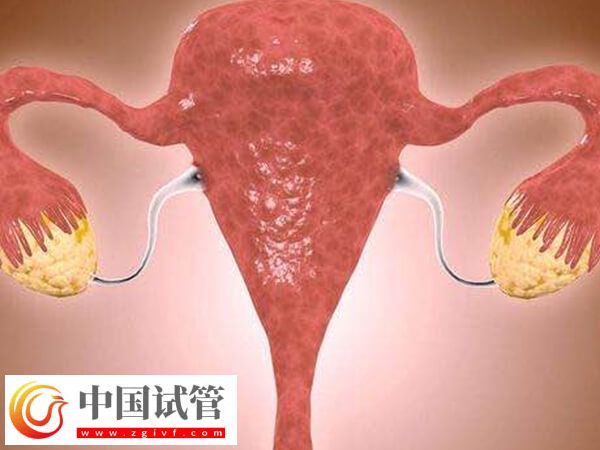 三明第三医院人授全过程消费清单分享,检查到手术至少7000元(图2) 三明第三医院人授全过程消费清单分享,检查到手术至少7000元(图2)