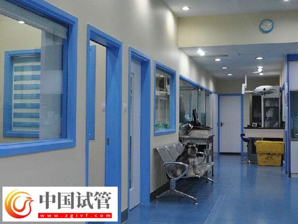 萍乡供卵试管婴儿现状分析，内附医院及价格介绍(图2)
