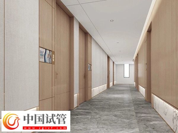 汕头热门人工受孕医院名单分享？技术、服务都在线