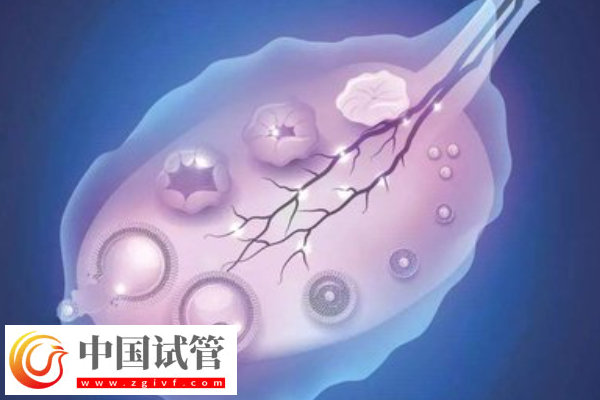 许昌三代试管机构骗局科普，一文叫你如何防止被骗
