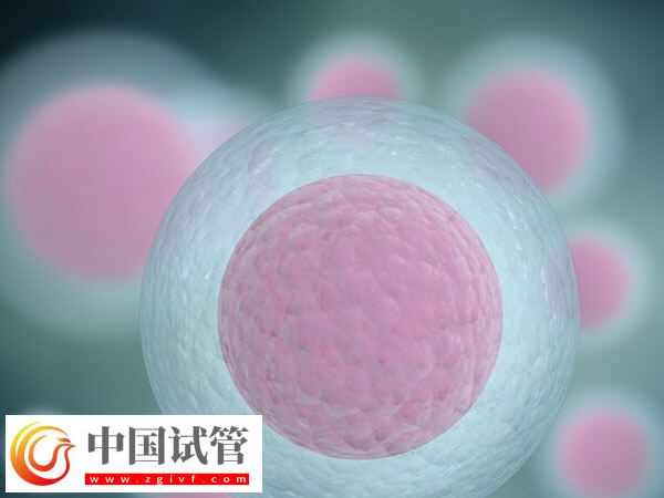 女性卵子质量差易不孕，日常补铁好处多多！(图1)