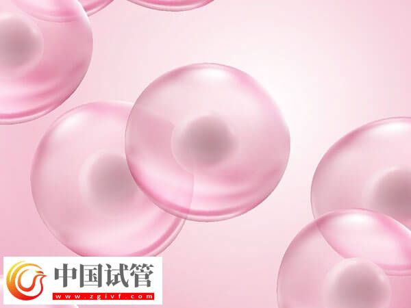 女性卵子质量差易不孕，日常补铁好处多多！(图2)