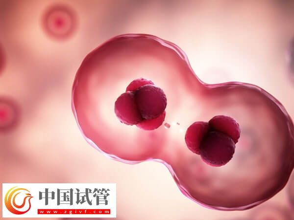 促排期间腹部不舒服、体温升高要小心,可能是卵泡早排!(图1) 促排期间腹部不舒服、体温升高要小心,可能是卵泡早排!(图1)