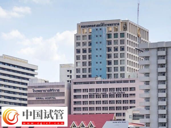 长沙公立供卵机构分享，等待时长平均3年起步！(图2)