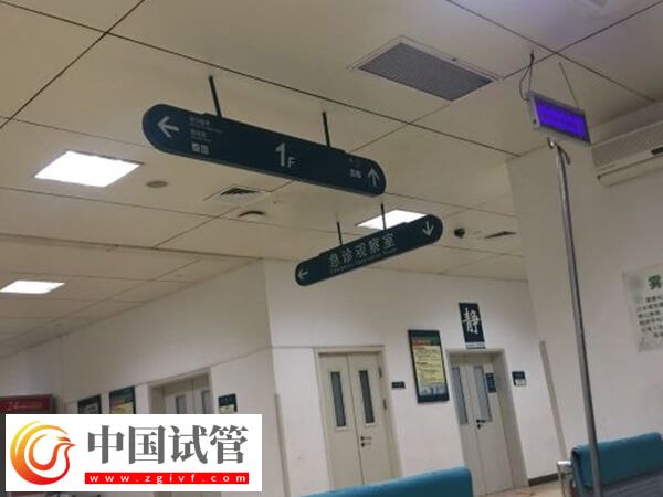 镇江供卵试管婴儿价格高吗？全程至少6万
