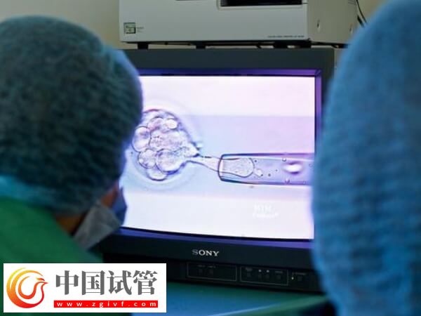北京妇产医院试管婴儿花销一览(内附同院经验分享)(图1) 北京妇产医院试管婴儿花销一览(内附同院经验分享)(图1)