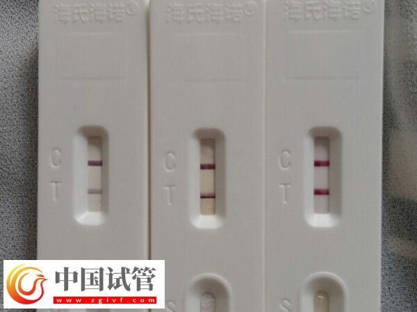 一文弄懂柳州三代试管婴儿，内附开销明细及成功案例