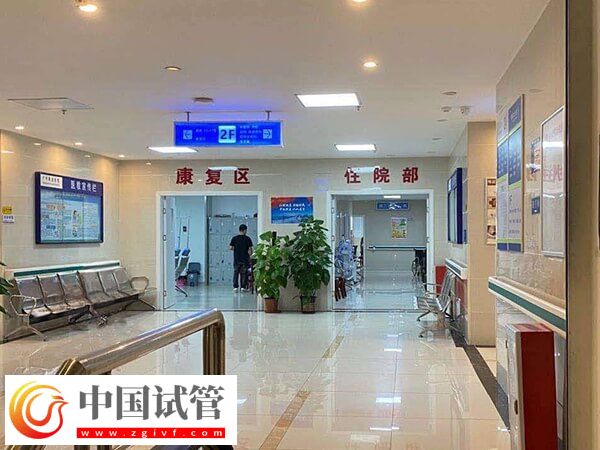 中山四大试管婴儿收费项目一览，其中促排成本较高