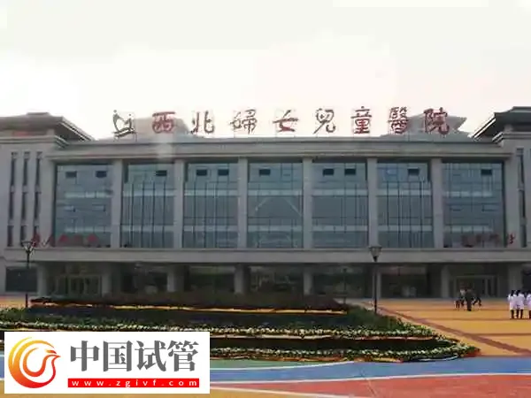 西北妇女儿童医院试管婴儿费用多少