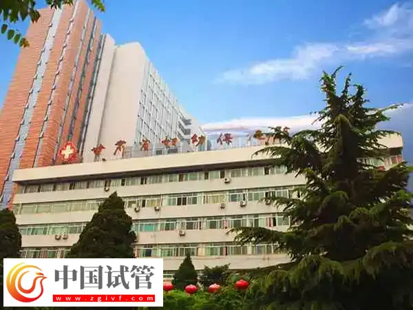 兰大一院供卵试管婴儿成功率多少(图1) 兰大一院供卵试管婴儿成功率多少(图1)