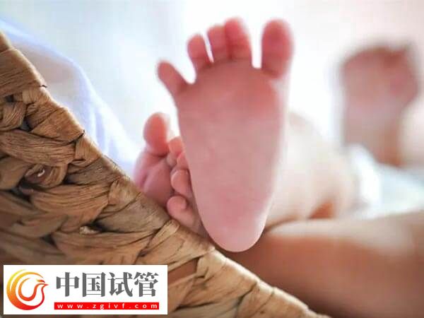 早产儿智力测试的方法有哪些(图1) 早产儿智力测试的方法有哪些(图1)