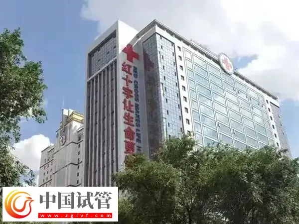 青海红十字医院供卵试管婴儿费用多少