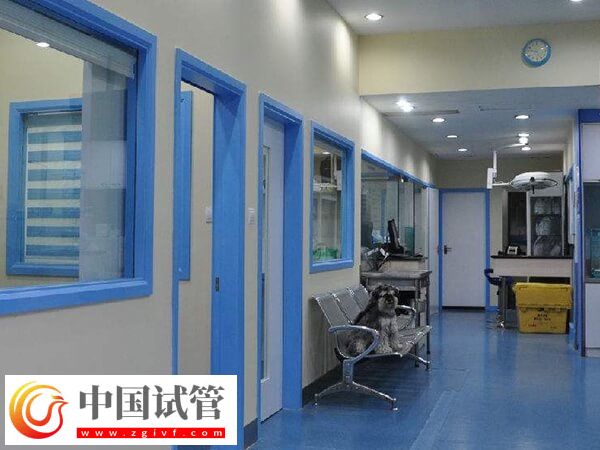 一文了解镇江二代试管婴儿收费情况，检查到移植至少4万