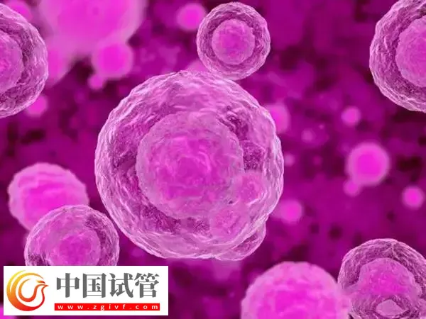 移植后上夜班是否会影响成功率(图1)