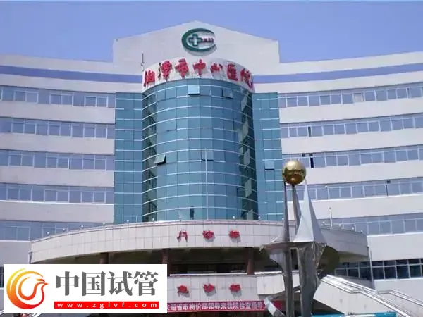 湘潭市中心医院供卵试管婴儿费用多少