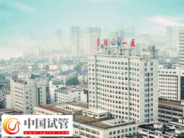 常德市第一人民医院试管婴儿怎么样，成功率&费用来说话
