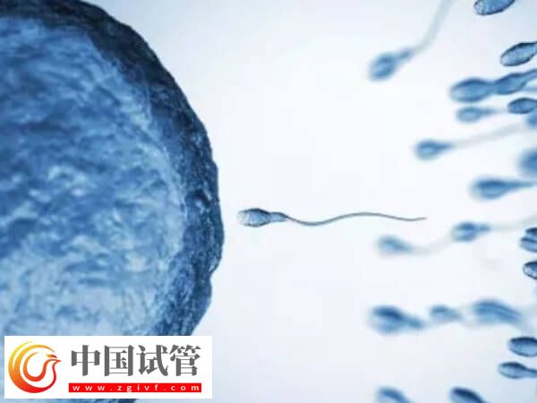 长沙试管婴儿平均成功率高达65%，满足这三个条件即可申请