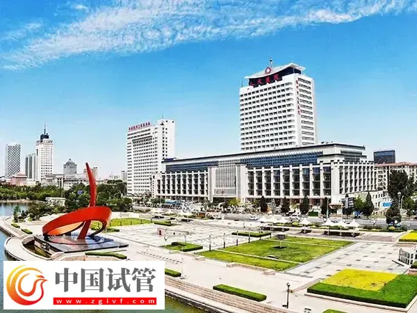 德州市人民医院二代试管婴儿多少钱