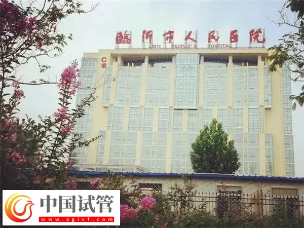 临沂市人民医院试管婴儿费用多少