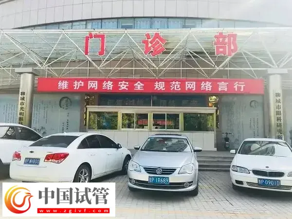 聊城市人民医院试管婴儿成功率多少