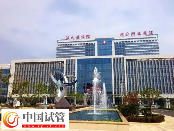 滨州附属医院试管婴儿成功率多少