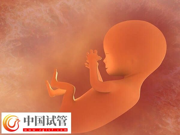 乌海妇幼保健院做试管婴儿哪个医生好？附三大专家简介