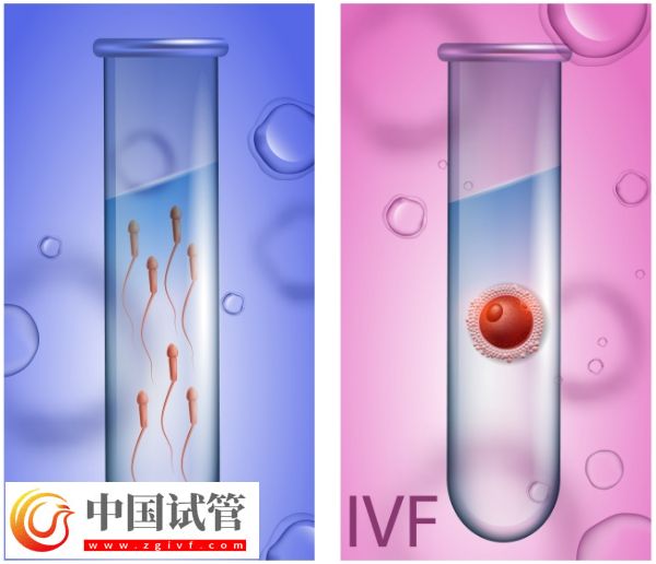 天津试管婴儿费用详解：全面了解价格及影响因素