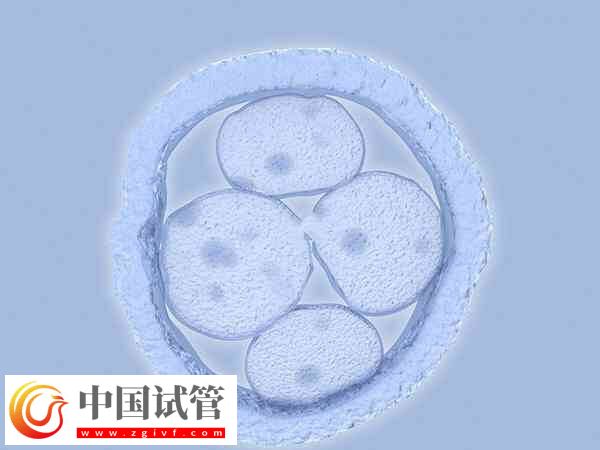 长治和平医院试管婴儿医生多，附十位知名专家介绍