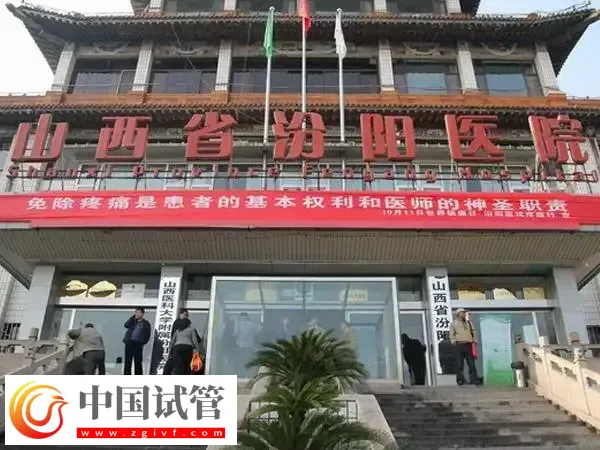 山西省汾阳医院人工授精多少钱