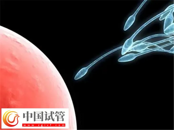 赤峰人工授精哪家医院好