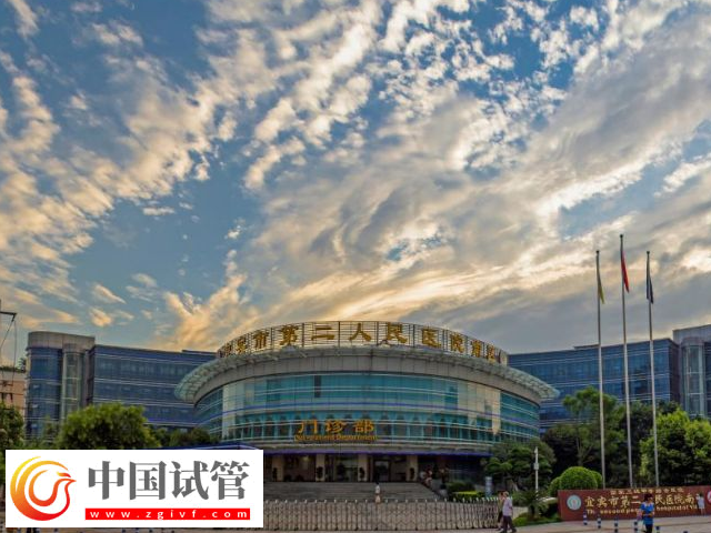 宜宾二医院试管婴儿花费单分享，验孕保胎需要百元起步