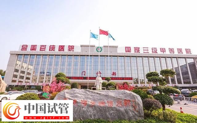 漯河市中心医院试管婴儿费用表，总花费明细实例参考