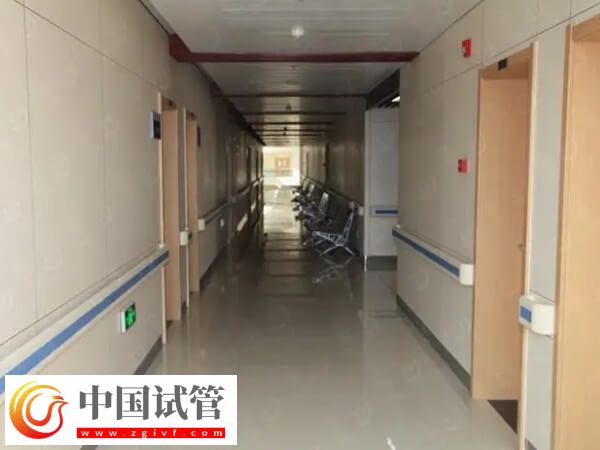 试管婴儿移植失败后建议下一个月周期再促排,附操作流程!(图2) 试管婴儿移植失败后建议下一个月周期再促排,附操作流程!(图2)