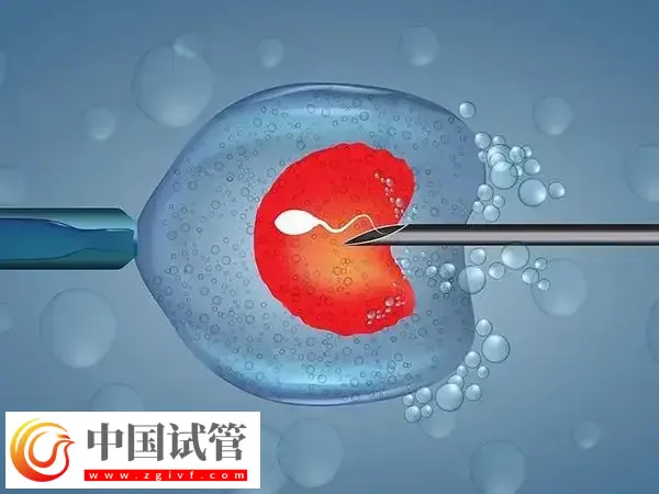 囊胚移植17天出血的原因是什么(图1) 囊胚移植17天出血的原因是什么(图1)