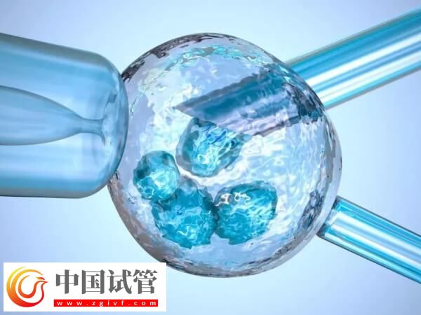 试管婴儿移植后需不需要大补