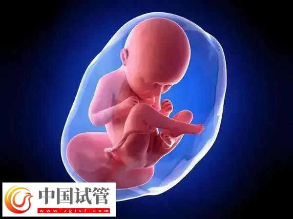 试管婴儿移植后预产期怎么算