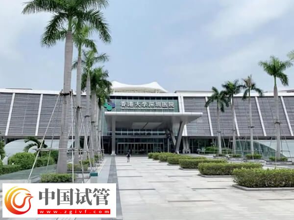 香港大学深圳医院试管婴儿怎么样
