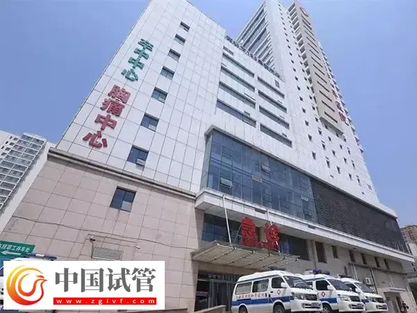 衡水试管婴儿医院哪家好