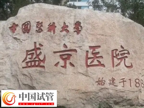 沈阳做三代试管婴儿好的医院推荐，详细助孕流程附上！