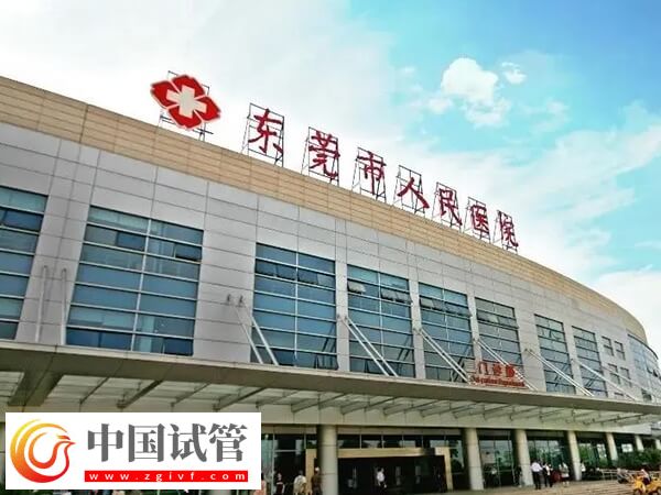 东莞二代试管婴儿高移植率医院汇总，附最新助孕率
