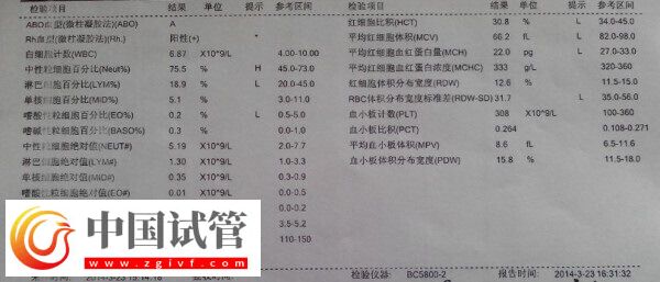 患地贫做三代试管婴儿报价大公开，过来人：胚胎筛查就得1万(图1)