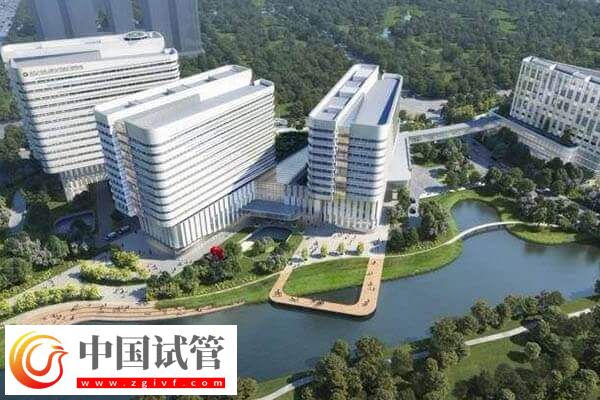 杭州试管婴儿花销解读，附邵逸夫医院助孕流程