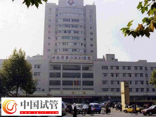 昆明供卵试管婴儿机构有哪些