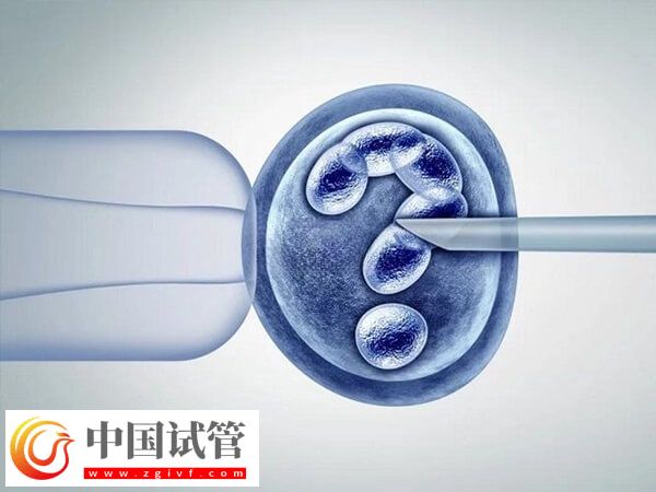 沧州试管婴儿医生哪位好(图1) 沧州试管婴儿医生哪位好(图1)